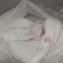 Full Size Comforter Set for Girls 3 Pieces Pink Purple Tufted Daisies Flowers Bedding Set Bed in A Bag Cute Floral Comforter Set for Kids, Lightweight Full Bed Set for Kids Teen Girls Women | Full Size Comforter, Comforter for Girls, Purple Bedding Set, Full Size Bed Set, Flowers Comforter, Teen Girls Bed Set