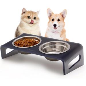 Tilted Raised Elevated Food and Water Bowls Stand for Cat or Small Dogs - Puppy's Clear Acrylic Stainless Steel Dishes Holder for Boy or Girl Pet, Modern, Durable and Easy to Clean by WBhonghui (Black)