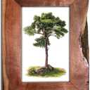 India Handicrafts 15674 Rustic and Weathered Brown 4 x 6 Wood Picture Frame for Wall or Table Top Display of Family
