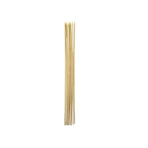 Coghlan's Bamboo Roasting Sticks : Sports & Outdoors 11 Pack