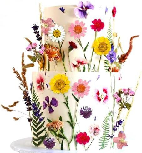 JeVenis Wildflower Cake Toppers Wildflower Decor Baby In Bloom Baby Shower Cake Toppers for Women Birthday Bridal Shower Wedding Party Decoration