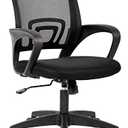 Home Office Chair Ergonomic Desk Chair Mesh Computer Chair with Lumbar Support Armrest Executive Rolling Swivel Adjustable Mid Back Task Chair for Women Adults, Black