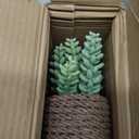 3-Pack Artificial Succulent Plants in Vintage Plastic Pots - Fake Waterproof Succulents Decor for Home, Office, Desk, Shelf - Low Maintenance Indoor Greenery for Bathroom, Living Room, Table Decor