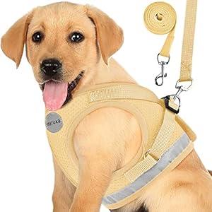 Cat Harnesses and Puppy Harness with Leashes Set, Escape Proof Cat Harness, Adjustable Reflective Soft Mesh Vest Fit Puppy Kitten Rabbit Ferrets's Outdoor Harness Sand Color
