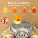 Incubator for Hatching Eggs-12 Egg Capacity, 2026 Newly Upgraded Automatic Egg Turner, Temperature & Humidity Control, 360 Viewing for Chicken, Duck and Quail Eggs (Grey)