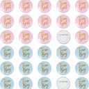 Gender Reveal Button Pins 30 Pcs, Team Boy Girl Button Pins, Pink blue Button Pin for Baby Shower Party Favors Gender Reveal Party Supplies