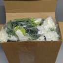 Jutom 12 Pcs Wedding Rose Candle Rings Artificial Floral Wreaths with Green Leaves Flower Candle Rings Candleholders Garland for Pillar Centerpiece Party Table Decor, 3.94'' Inner Diameter, White