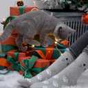 Jeasona Women's Cat Socks Cat Gifts Cute Animal Socks Dog Owl Gifts for Women