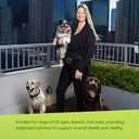 Evanger's Grain Free Chicken with Sweet Potato & Pumpkin Dry Food for Dogs  16.5 lb Bag  Deboned Chicken, Omegas 3 & 6, Probiotics  All Life Stages Formula (EXP 02/11/27)