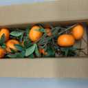 Woration 4PCS Artificial Orange Branches Simulation Tangerine Plastic Tree Plant Stem with Fruit Fake Greenery Home DIY Dcor Props 19.3inch
