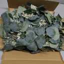 Ouddy Decor Eucalyptus Garland 6.56 Ft Lush Silver Dollar Leaves Boxwood with White Buds Artificial Faux Greenery Vines for Baby Shower Wedding Party Table Runner Room Home Mantle Decor (1 Pack)