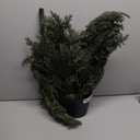 Nearly Natural 3ft. Mini Cedar Pine Artificial Tree (Indoor/Outdoor)