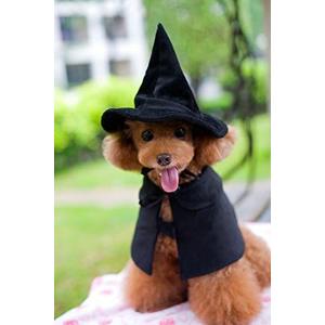 Hooded Cloak Witch/Wizard Costume for Medium Pets, Dog Halloween Costume Hat Cape, Black Dog Witch Costumes, Medium