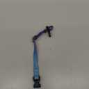 Roses&Poetry Reflective Dog Collar with Gradient Mistyrose, Adjustable Durable Pet Collars for Small Medium Large Dogs (Mistyrose-XS)