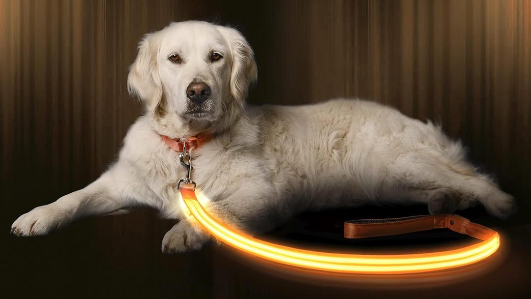ILLUMISEEN LED Light Up Dog Leash | Ultra High Visibility Up to 350 Yards | 3 Lighting Modes | USB Rechargeable, No Batteries Needed | Padded Handle & Rotating Swivel Clasp to Prevent Leash Tangling (4 Feet, Bright Orange)