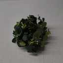 Dremisland Eucalyptus Garland Plant 2 Pack 5.9Ft Artificial Silver Dollar Eucalyptus Garland Eucalyptus Vines for Wedding Backdrop Arch Table Runner Party Home Decor (Eucalyptus,Gypsophila, 2PCS)