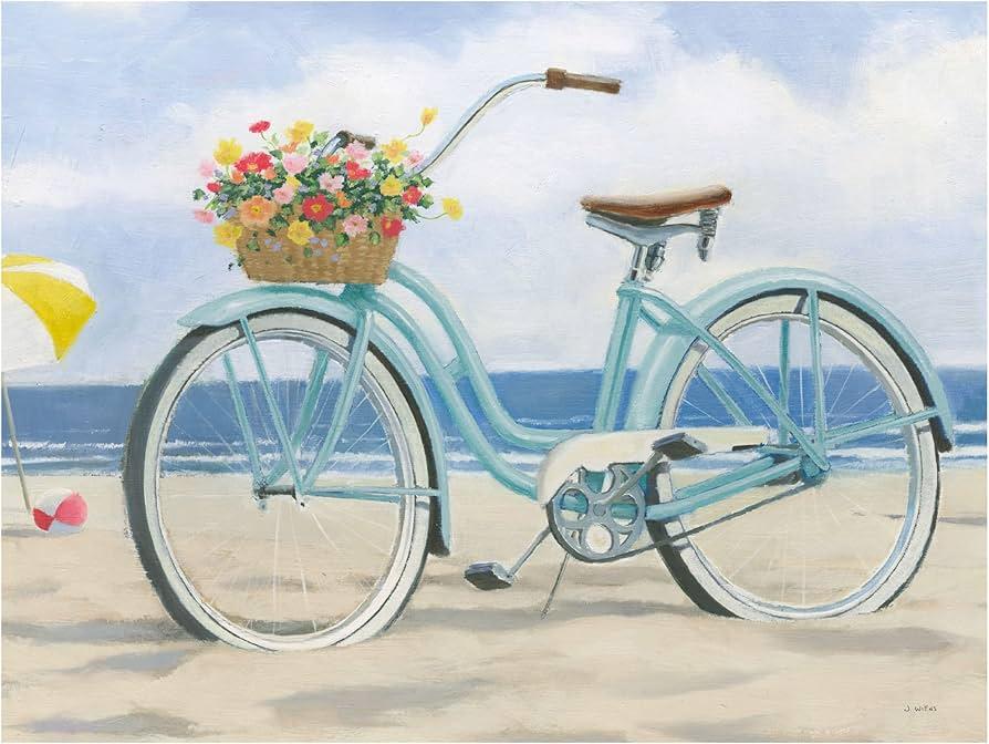 DI NV BEACH CRUISER 22X28