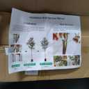 Olive Trees Artificial Indoor 5FT - Fake Tree for Indoor Decor, Realistic Faux Plants with Silk Leaves Resin Trunk, Tall Floor Olive Tree for Living Room, Office, Lobby, Modern Decor