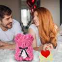 Double Couple Gift for Mom Women-Rose Cute Bear - Rose Adorable Teddy Artificial Bear - Best Gift for Valentines Day, Mothers Day, Anniversary, Birthdays- Clear Gift Box Included!10 Inches Tall (Pink)