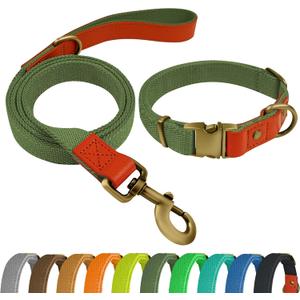 Nylon Dog Collar and Leash Set Durable - Adjustable with a Secure Fastening, Comfortable and Long - Lasting, Ideal for Walking, Training, and Outdoor, Green, XL
