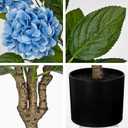 3FT Blue Hydrangea Artificial Flowers Tree 2 Pack Large Real Touch Faux Silk Hydrangea Plants Potted Fake Flower in Black Pot for Home Indoor Outdoor Front Porch Garden Entrance Living Room Decor