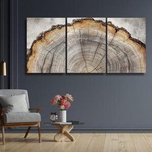 sawjug Tree Ring Wall Art, Tree Ring Canvas Wall Art, Neutral Wall Decor, Living Room, Office, Bedroom Wall Decor (24" x 36" x 3 pcs)