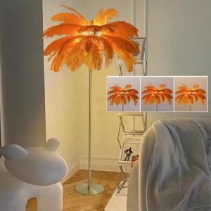 Ostrich Feather Floor Lamp, 3 Colors Led Bulb, Bedroom Standing Lamp, Decorative for Living Room Bedroom Office Shop Window62.99 Inch High Orange
