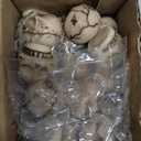 Civaner 40 Pcs Halloween Mini Skulls Miniature Resin Skeleton Heads Figurine Bulk Creepy Mini Skull Statues Decorations for Halloween Miniature Dollhouse Garden Vase Table Decor Party Favor