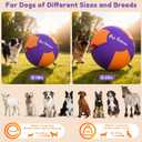 Pet Deluxe 18" Herding Ball for Large Dogs - Durable Interactive Herding Toy with Fast Pump in 60S & Carry Handles, for Australian Shepherd, Border Collie, Outdoor Training & Backyard Play
