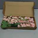 8PCS Delphinium Artificial Flowers 33.5'' Larkspur Silk Flowers Tall Pink Long Stem Artificial Flowers for Wedding Table Centerpieces Home Garden Decor(Light Pink)
