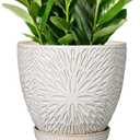 G EPGardening 10 Inch Ceramic Planter Pot with Drainage Hole and Saucer Large Plant Pot for Indoor Plants Outdoor Round Flower Pot for Home Garden Office White