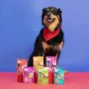 Weruva Dogs in The Kitchen, Variety Pack, Pooch Pouch Party!, Wet Dog Food, 2.8Oz Pouches (Pack of 12) (EXP 07/01/28)