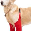 HDKUW Dog Elbow Protector, Dog Front Leg Recovery Sleeve for Prevent Licking Wound, Elbow Sleeves with Mesh Pad for Medium Large Dogs (Red, XL)