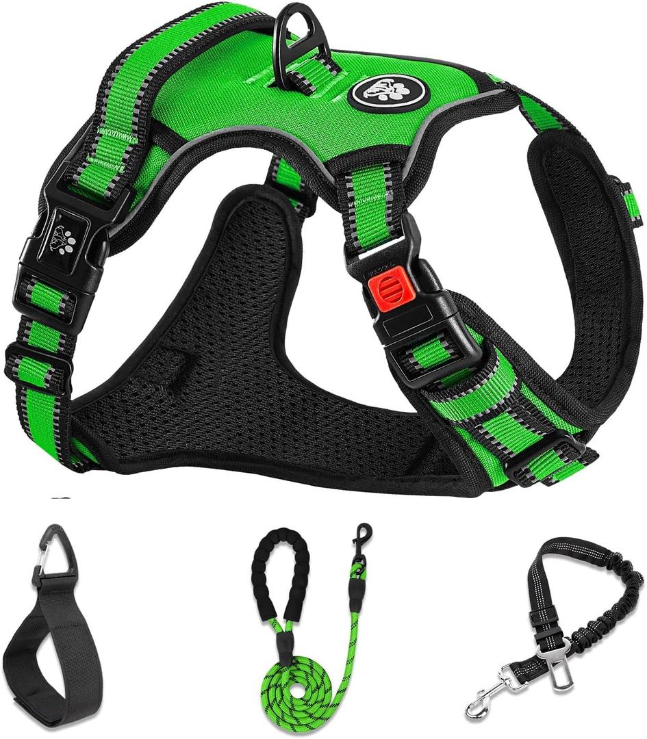 NESTROAD No Pull Dog Harness,Adjustable Oxford Dog Vest Harness with Leash,Reflective No-Choke Pet Harness with Easy Control Soft Handle for Small Dogs(Small,FluorescentGreen) (Sneck 11-15" chest 15-21")