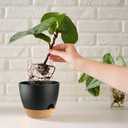 Self Watering Plants Pot with Drainage Hole, Flower Plants Pots for Indoor & Outdoor, Black Plastic Self Watering Planters Succulent Pot 5pcs/Set (7+6.5+6+5.5+5Inch)