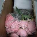 Artificial Peonies Silk Flowers in Glass Vase Faux Flowers Bouquets Modern Penoy Arrangement 4 Pack for Home Decoration Table Centerpiece (Pink)