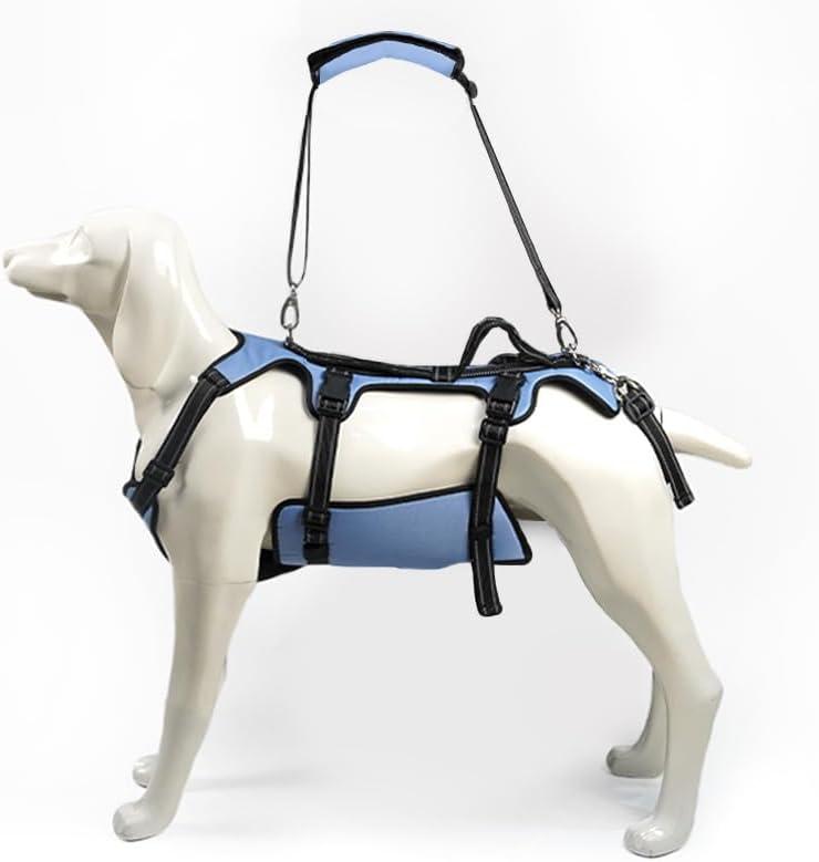 Coodeo Dog Lift Harness, Support & Recovery Sling, Pet Rehabilitation Lifts Vest Adjustable Breathable Straps for Old, Disabled, Joint Injuries, Arthritis, Paralysis Dogs Walk (Large) (Blue)