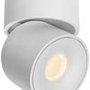 Aisilan LED Indoor White Ceiling Spot Light 7W Surface Mounted Light Fixture with 360° Pivoting Spotlight, Dimmable Warm White 3000K CRI 97+ for Living Room Bedroom, 1 Pack