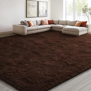EVOIONOS 7x10 Washable Large Area Rug for Living Room, Fluffy Shag Rug for Bedroom, Ultra Soft Plush Non Slip Carpet for Indoor Floor Bedside Nursery Kids Girls Room Dorm, Home Decor Aesthetic Coffee