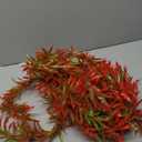 kathson Artificial Aquarium Plant Decorations,23.62 Inches Large Plastic Fish Tank Plants Tall Realistic Aquarium Accessories for Freshwater and Saltwater(Wine and Green,2 Pcs)