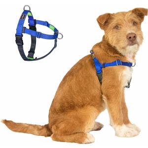 Easy Walk No Pull Dog Harness, Freedom Walk with Front and Back Clips Stainless D-Rings, Comfortable, Sewn-in Instructions Tags for Easy Use, for Medium Dogs Weight 30-39lbs (Blue, M)