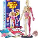 Dan&Darci Human Anatomy Squishy Body Model - Science Kits for Kids Ages 4-8 - STEM Toys for 4 5 6 7 8 Year Old Boy Birthday Gift - Learning Educational Toys for Ages 5-7 Boys Gifts - Skeleton Parts
