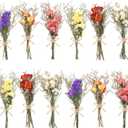 12/24 Pack Dried Flowers for Vase Various Mini Bouquet Dried Small Wildflowers Natural Real Flowers Bulk for Crafts DIY Wedding Decor (12, Forget Me Not)