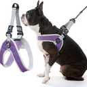 Gooby Simple Step in III Harness - Purple, Small - Small Dog Harness with Scratch Resistant Outer Vest - Soft Inner Mesh Harness for Small, Medium Dogs (Small chest (14.2517"))