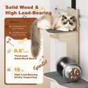 2026 New 4-Level Over Door Cat Tree, with (6 Suction Cups & Climbing Rope and Adjustable Hooks), Door Hanging Cat Shelf with 17.7in Perch Over The Door Cat Tree Climber for Large Cats and Kittens