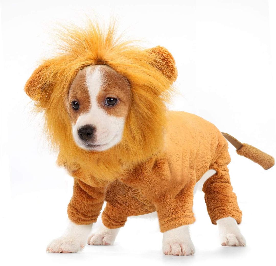 Rypet Dog Lion Costume Pet Clothes for Halloween Party Simulation Lion Pets Outfits Cosplay Dress up Clothes Pet Lions Hoodie Cat Costume for Party, Size S