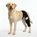 Dog Leg Braces for Back Leg- Dog ACL Brace for Torn and Back Hind Rear Legs ACL Tear, Dog Leg Brace for Hip Dysplasia, Dog Arthritis, Luxating Patella(Size XL)