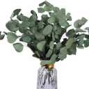 Real Eucalyptus Stems 20PCS Dried Preserved Fresh Eucalyptus Silver Dollar Leaves for Shower - Greenery Branches for Wedding Home Party Vase Filler Spring Decor (Green Style 02)