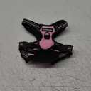 rabbitgoo Dog Harness No Pull with 2 Leash Clips, Adjustable Soft Padded, Reflective Oxford No Choke Pet Vest with Easy Control Handle for Small Dogs, Pink, S