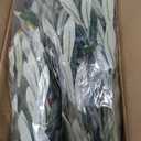 6ft Olive Trees Artificial Indoor, Tall Faux Olive Tree with Realistic Leaves and Lifelike Olives Fruits, Large Fake Silk Plant for Living Room Office Bedroom Balcony Home Decor